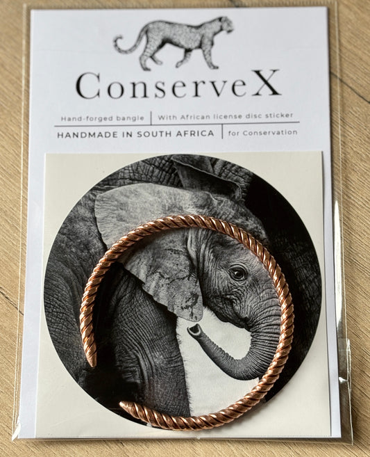 Ndlovu Copper Bangle