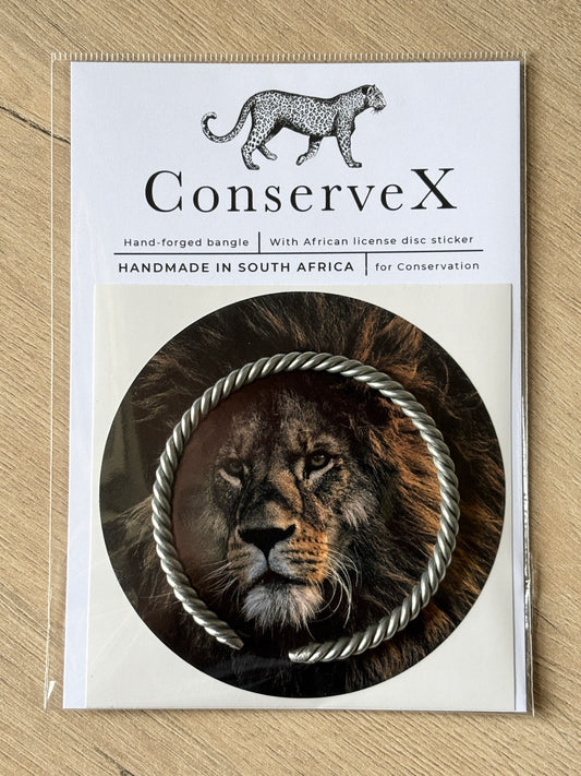 Bhubesi Silver Bangle